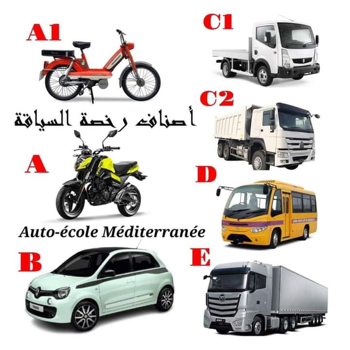 اصناف رخصة السياقة بتونس